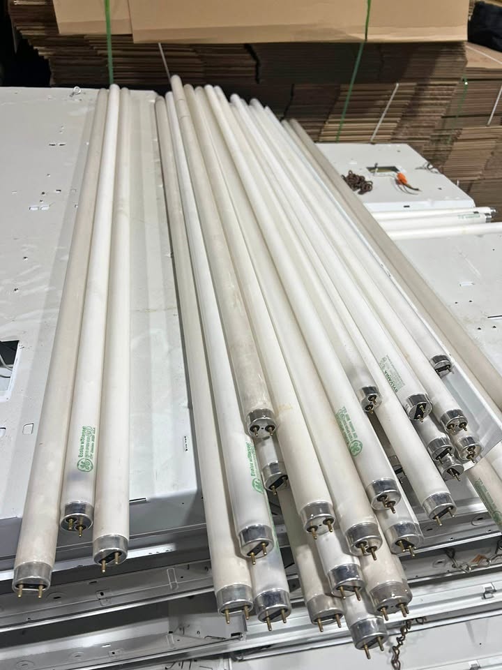 Commercial Light Bulbs (Used - Lot of 500+)