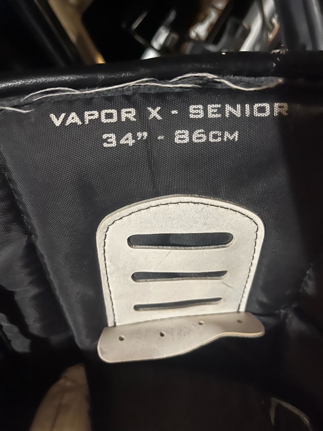 Bauer Nike Vapor Ball Hockey Goalie Pads - photo 3