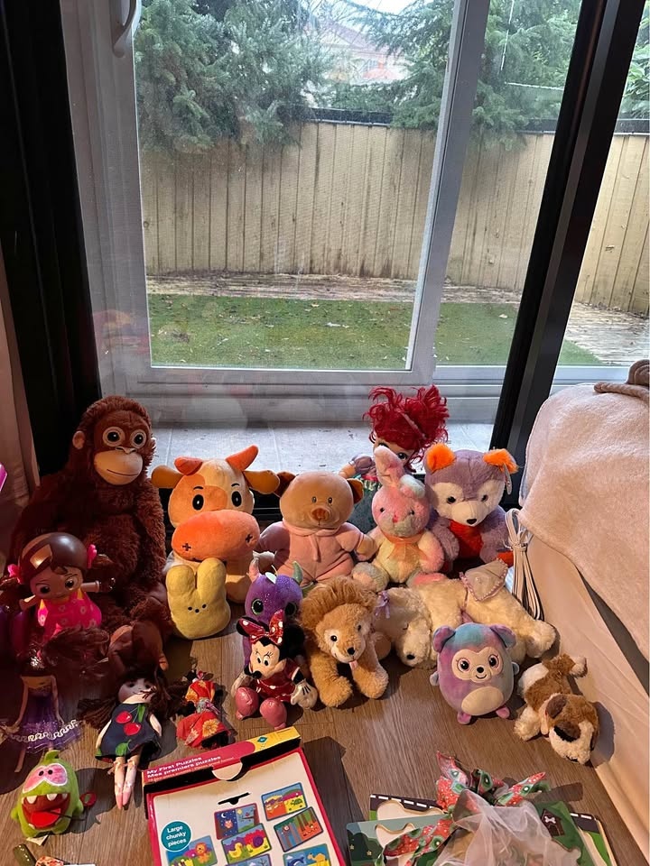 Plushies And Dolls Lot