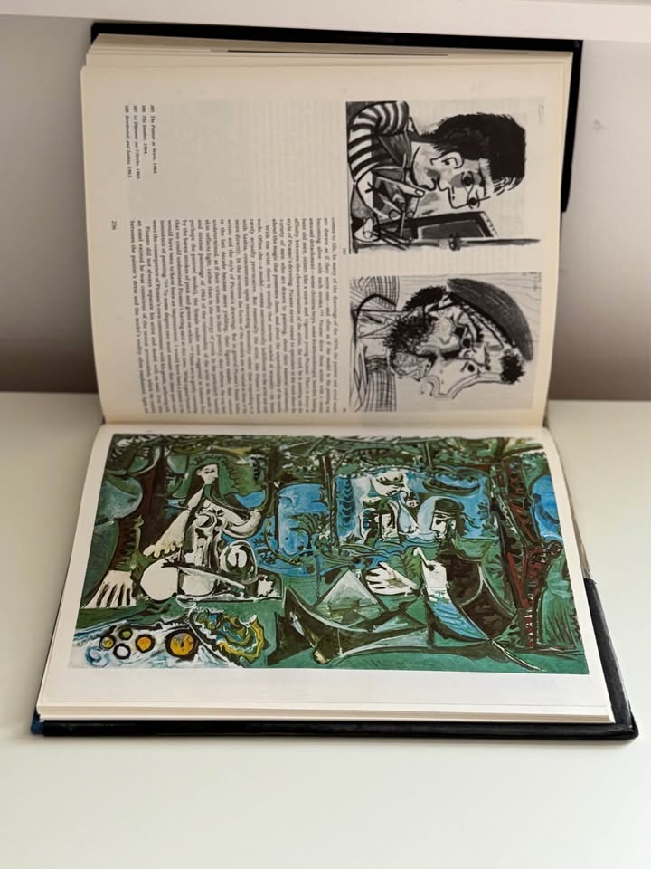Vintage Pablo Picasso Art Book - Illustrated Coffee Table Book - photo 3
