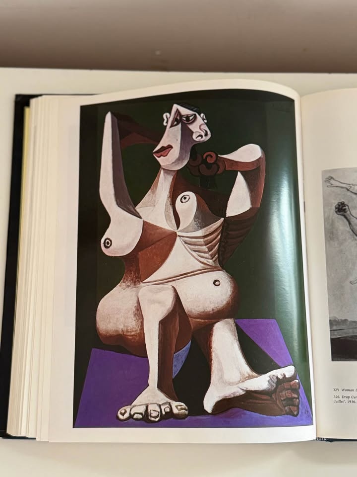 Vintage Pablo Picasso Art Book - Illustrated Coffee Table Book - photo 5