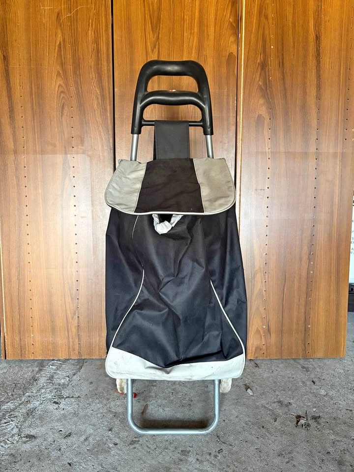 Grocery cart