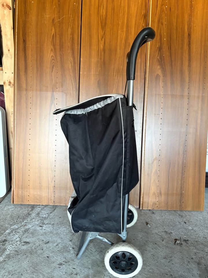 Grocery cart - photo 3