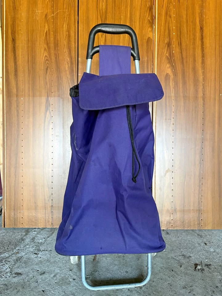 Purple Grocery Cart with Wheels