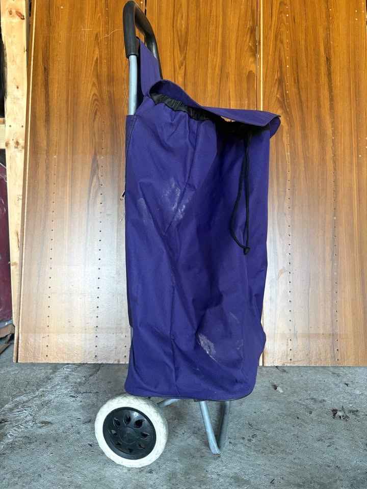 Purple Grocery Cart with Wheels - photo 4