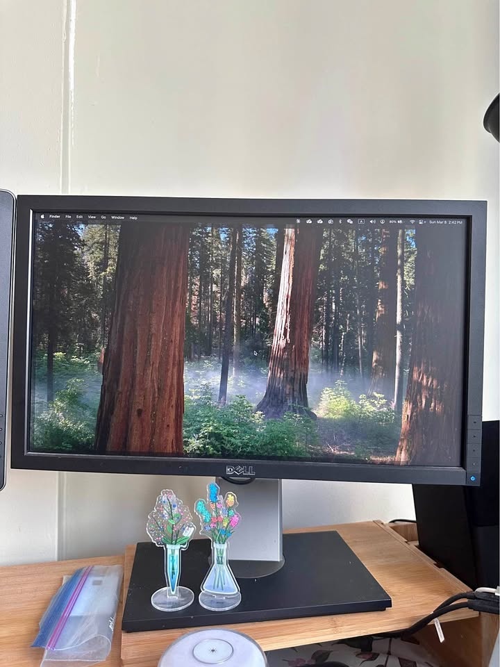 Dell Monitor P2211H 22inch
