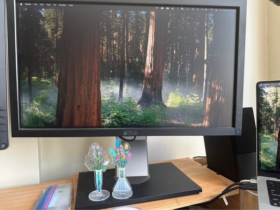 Dell Monitor P2211H 22inch - photo 2