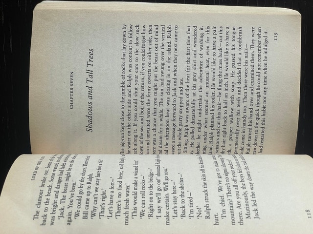 Lord Of the Flies - William Golding - photo 4