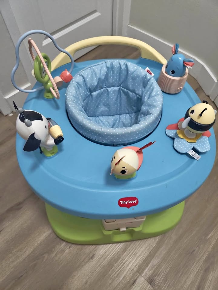 4 in 1 Activity Center
