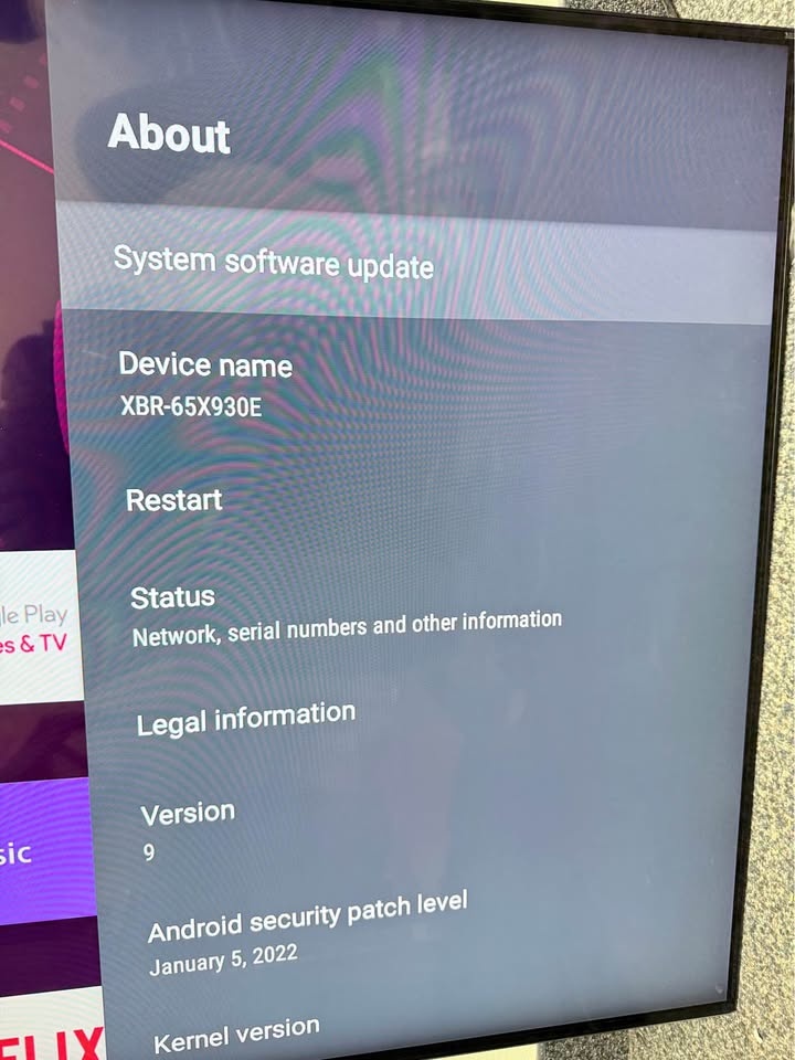 SONY X930E - photo 3