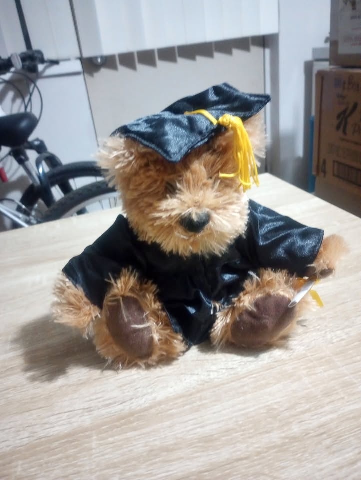 Graduation Bear Stuffed Toy