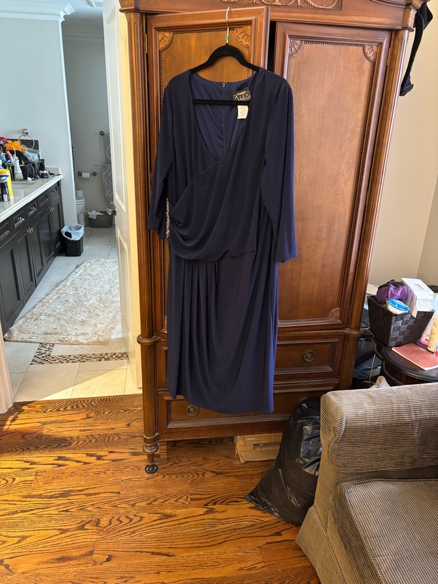 Plus Size Women's Dress Size 22