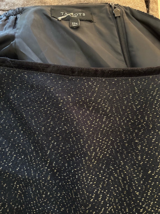 Talbots Women's Plus Size Dressy Skirt Size 22