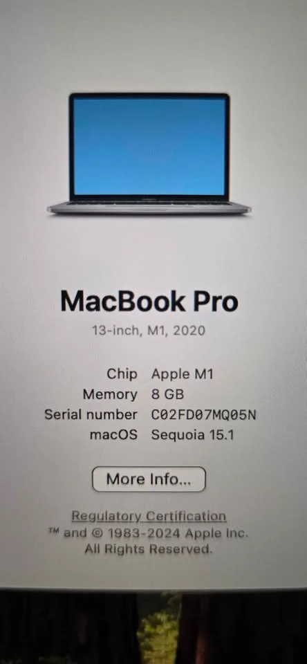 Mac book pro A2338 image indicator(3)