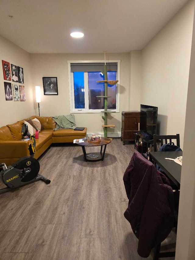 1 Bed + Den Apartment - Lease Takeover - photo 3