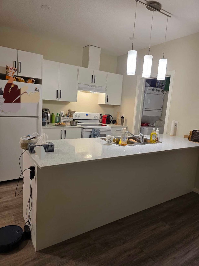 1 Bed + Den Apartment - Lease Takeover - photo 4