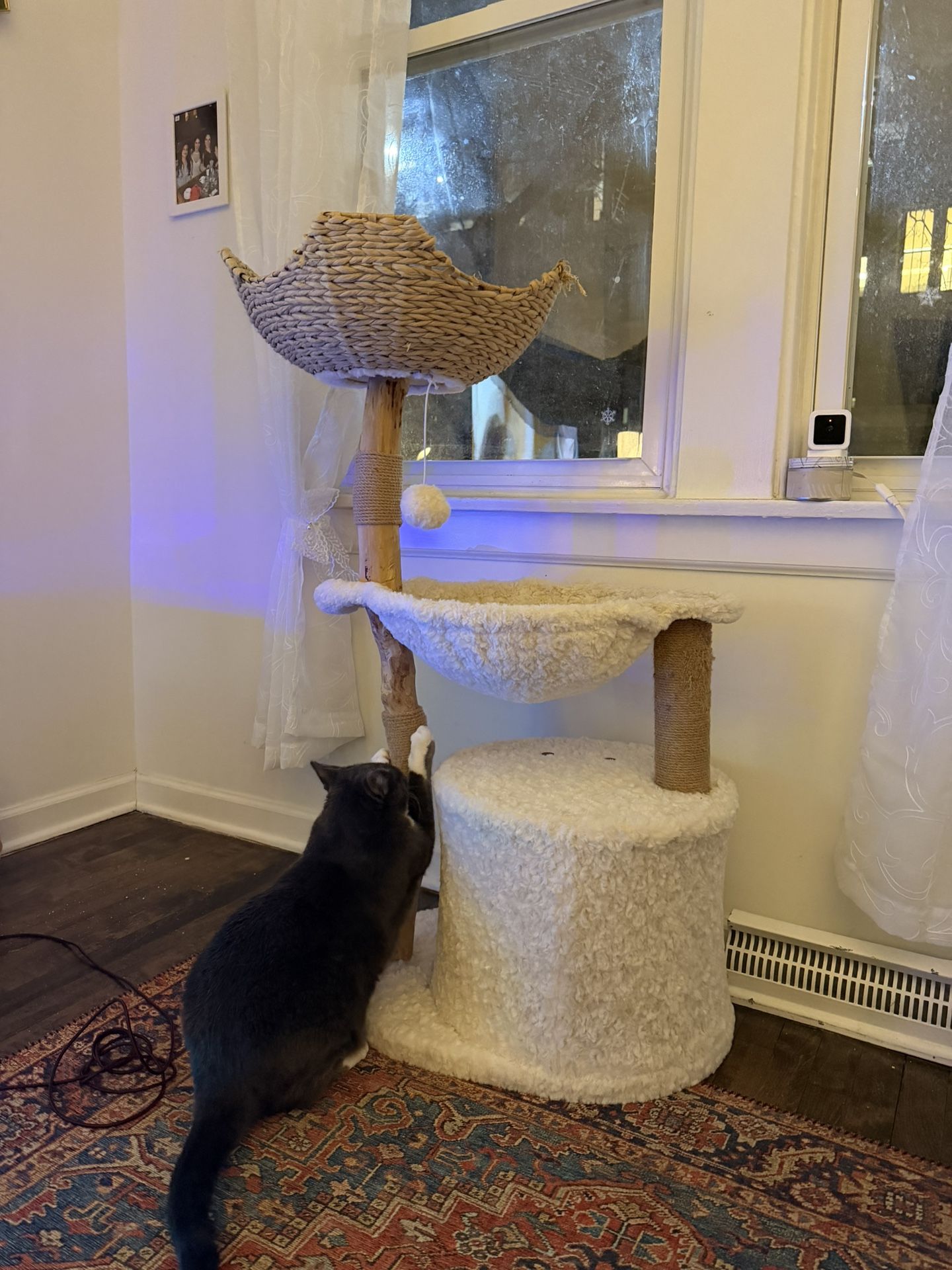 Cat Tree