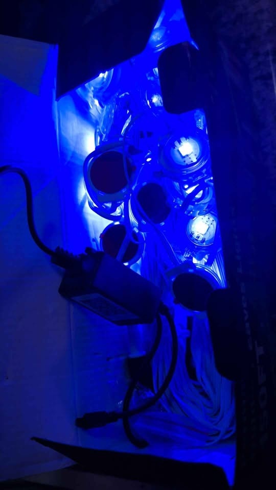 Permanent Outdoor Eaves Lights 150 ft - photo 2
