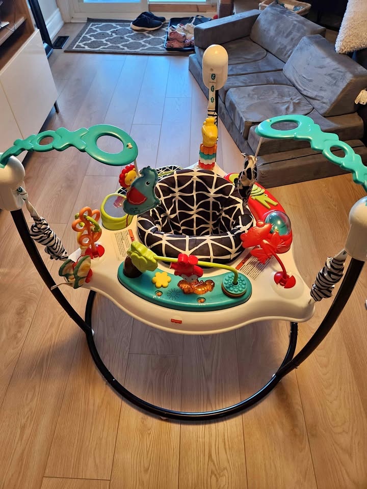 Fisher Price jumper