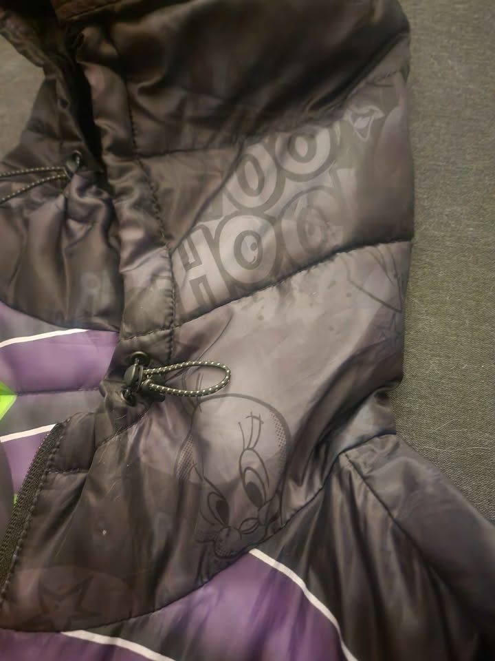 Looney Toons & Tom & Jerry Winter Coats - Size L - photo 5