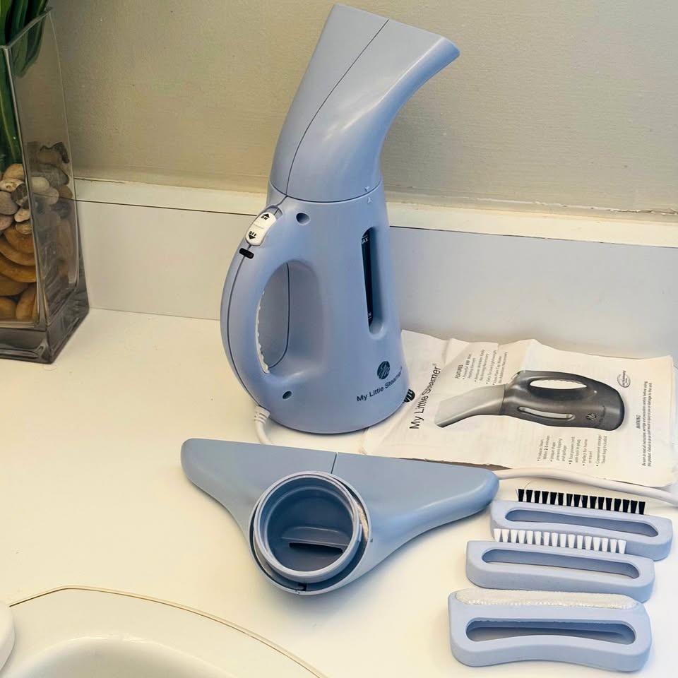 Light Blue Handheld Garment Steamer