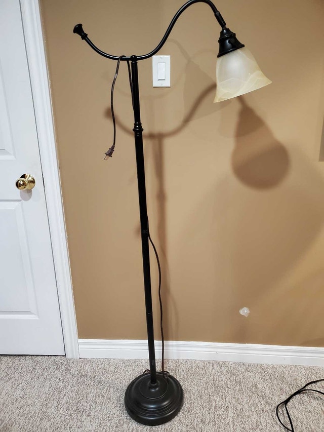 Aged Bronze Goose-neck Floor Lamp