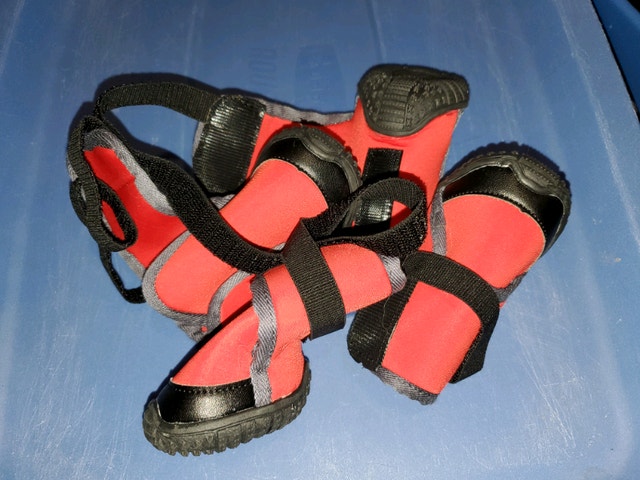 New Petloft Size M Waterproof Dog Boots (4 pcs)