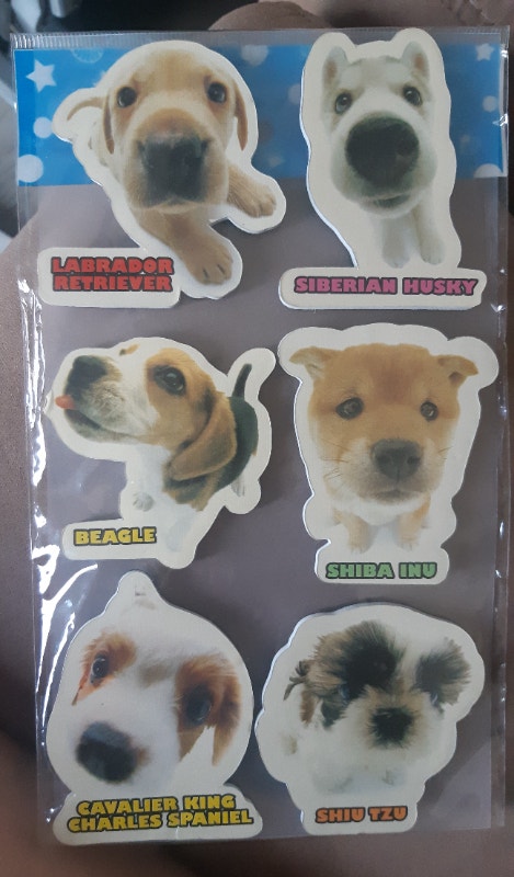 Brand New Fridge Magnet