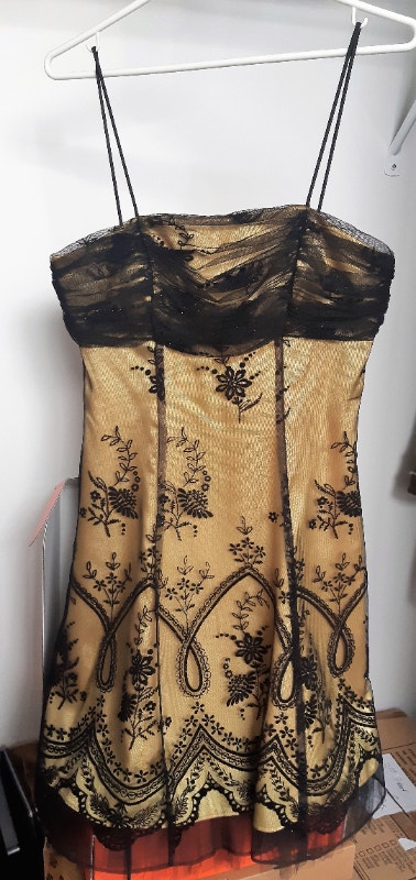 Semi-Formal/Prom Dress