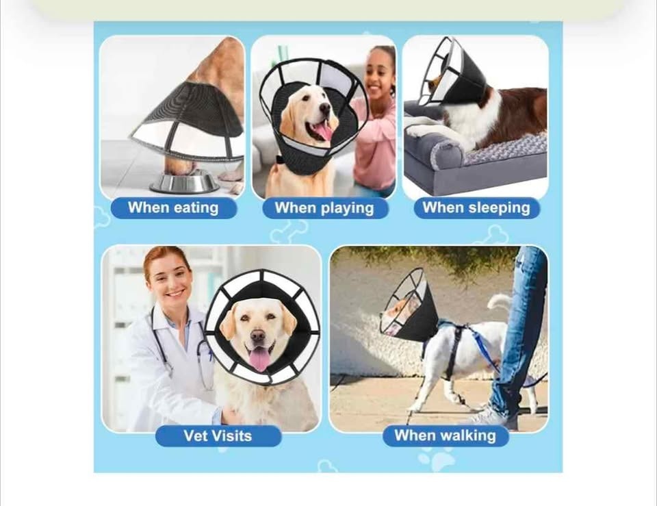 Brand new adjustable anti lick soft dog cone (Large) - photo 3