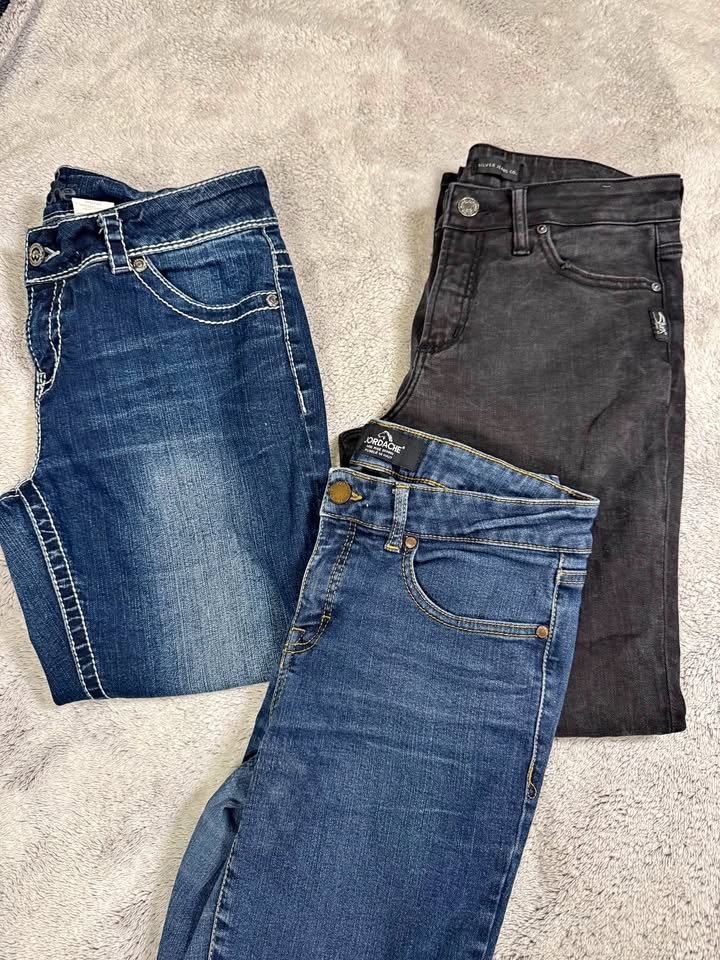 Jeans: Silvers, Warehouse One, Jordache (Size 30/12)
