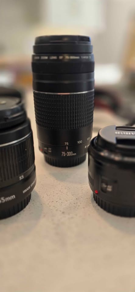 Canon EOS 70D + Rebel T3 DSLR Camera Bundle - photo 4