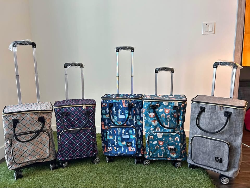 Shopping trolley cart
