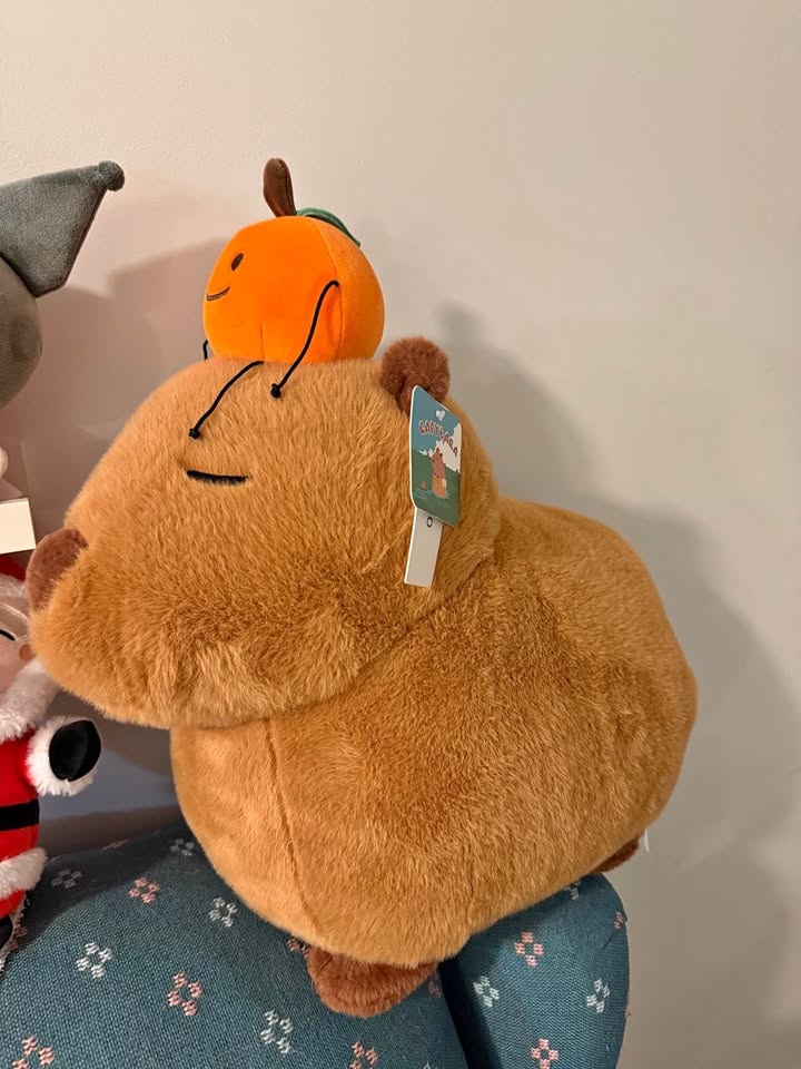 Capybara Plush 20 inch