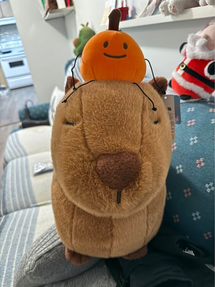 Capybara Plush 20 inch - photo 2
