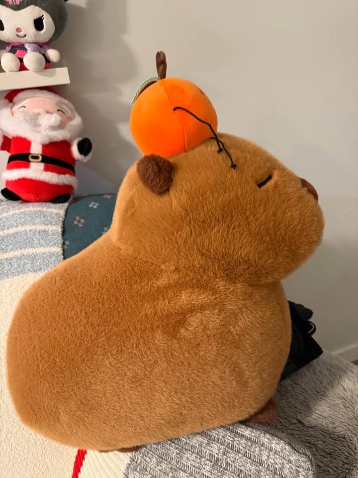 Capybara Plush 20 inch - photo 3