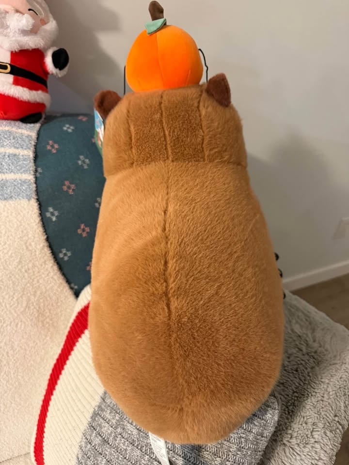 Capybara Plush 20 inch - photo 4