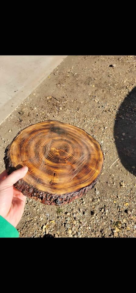 Wood cookies