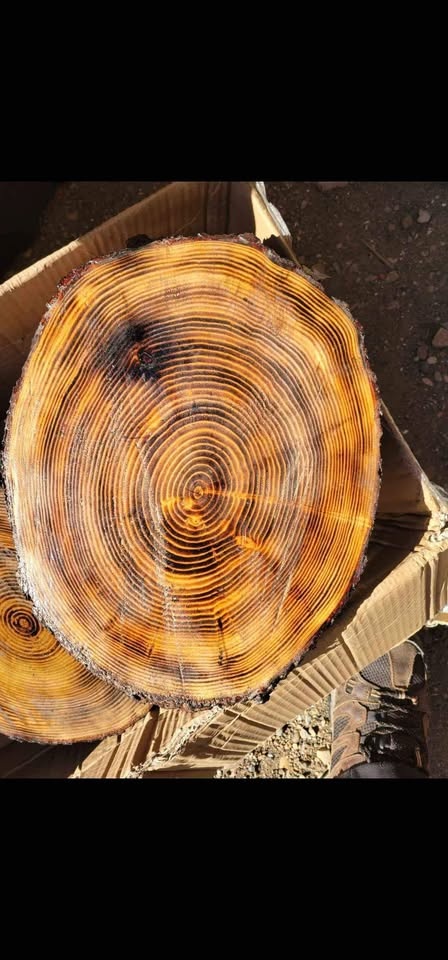 Wood cookies - photo 2