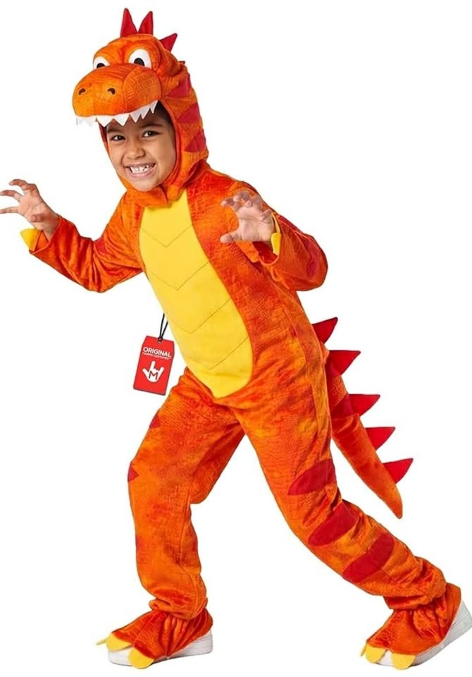 Dinosaur Kids Costume