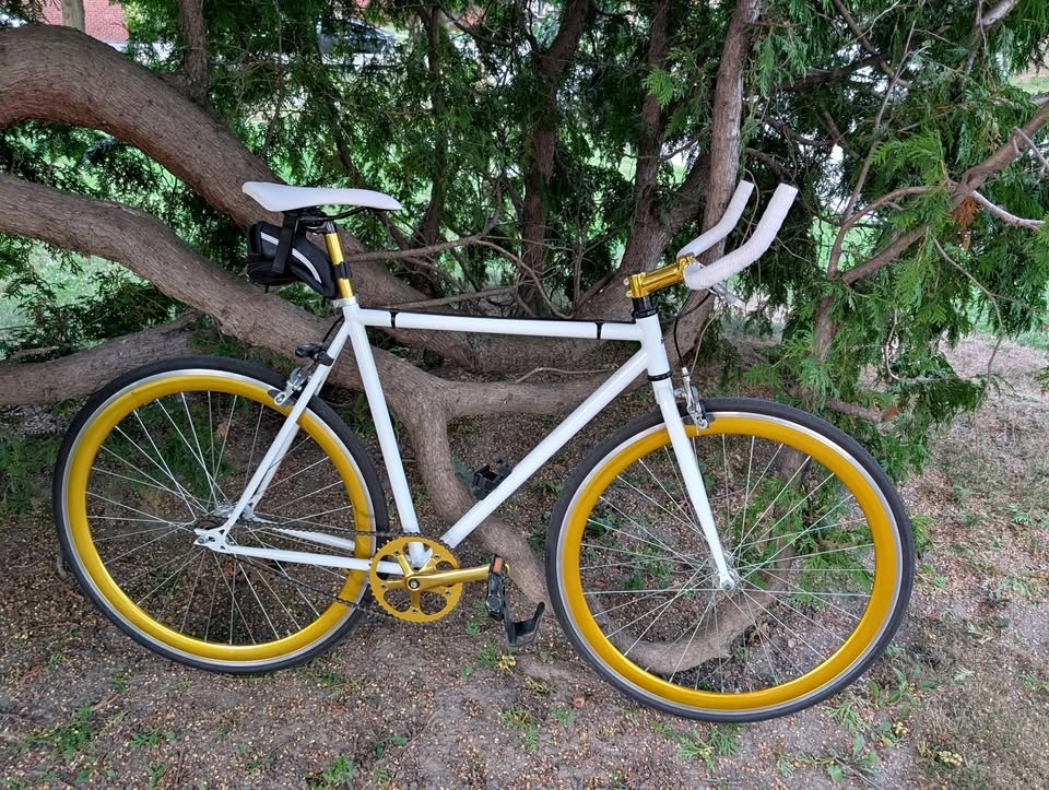 Moose Single Speed Sexy Gold Bike - 54 cm Medium