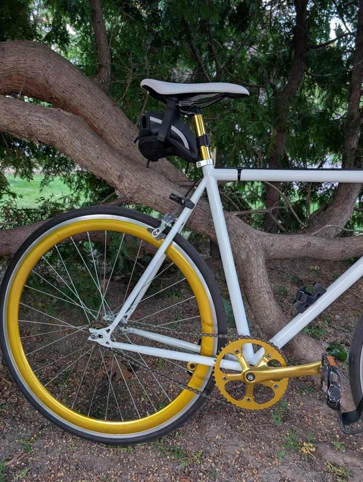 Moose Single Speed Sexy Gold Bike - 54 cm Medium - photo 2