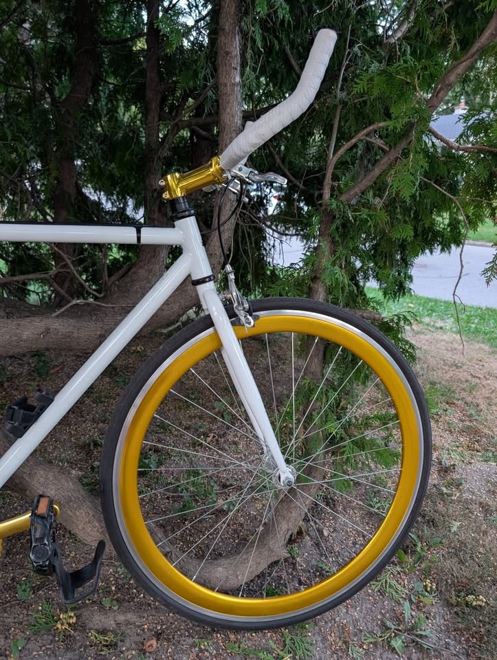 Moose Single Speed Sexy Gold Bike - 54 cm Medium - photo 3