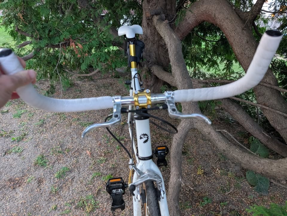 Moose Single Speed Sexy Gold Bike - 54 cm Medium - photo 4