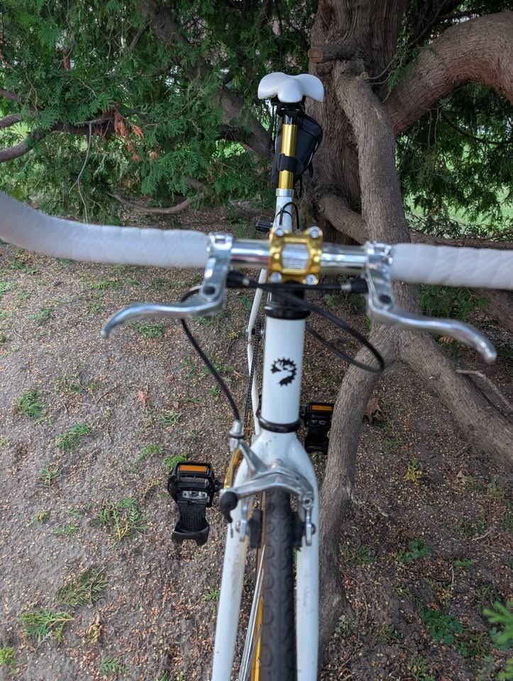 Moose Single Speed Sexy Gold Bike - 54 cm Medium - photo 5