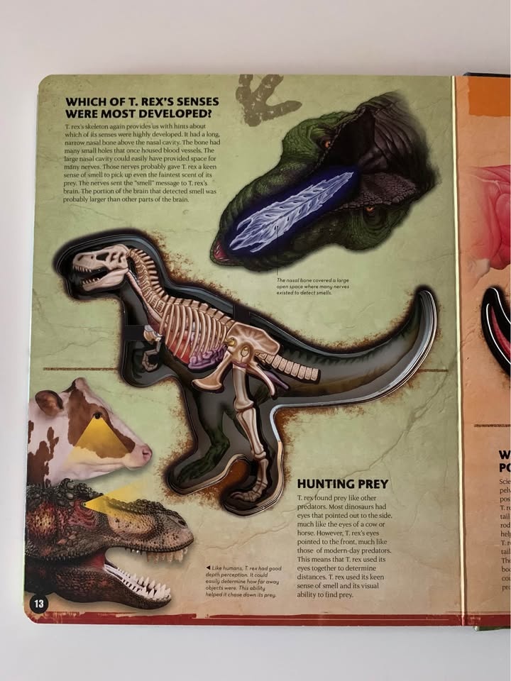 Book Inside Out T. rex - photo 3