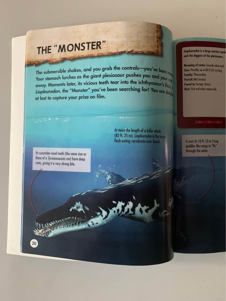 Book Prehistoric Safari - photo 3