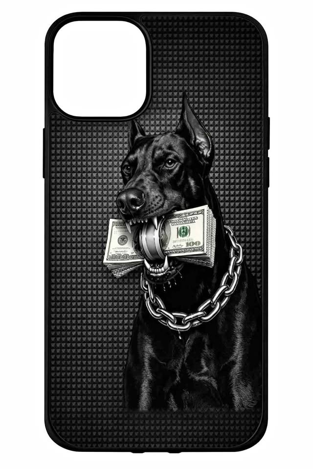 iPhone Cases for iPhone 15, 16, 17 Pro Max