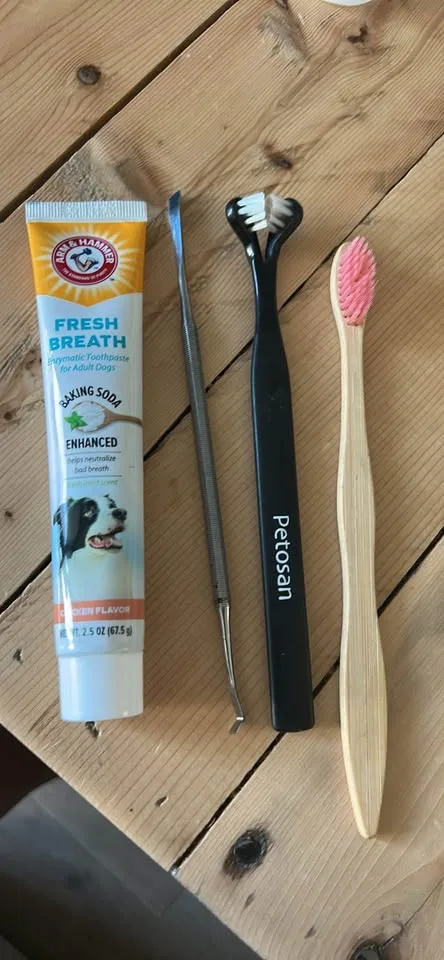 Dog Grooming Stuff image indicator(2)