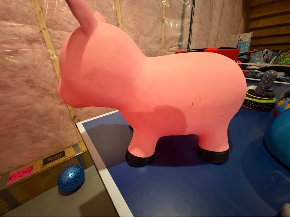 Toddler Bounce Toy - photo 2